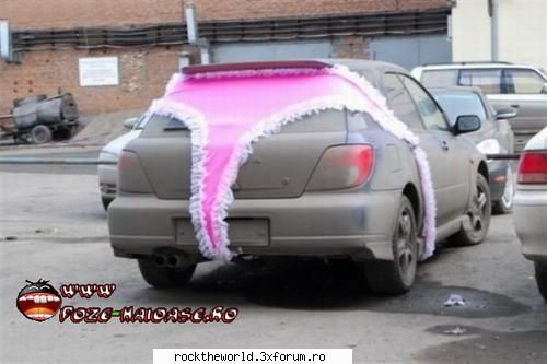 :rotfl:  :rotfl:  :rotfl:  :rotfl:  :rotfl:  :rotfl: poze funny